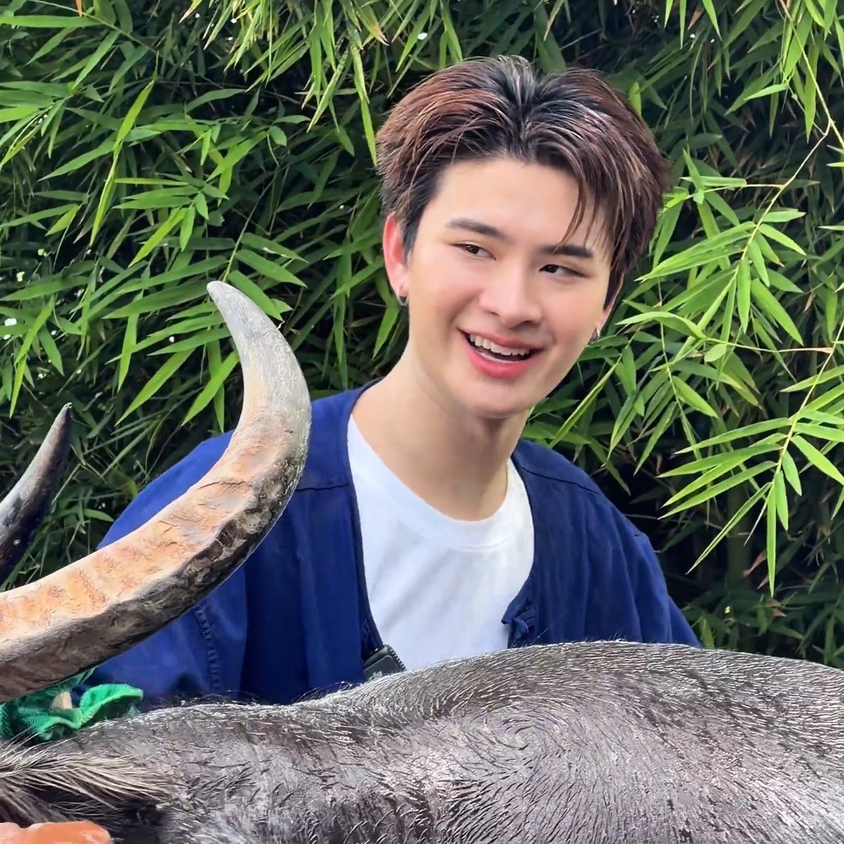 pungmiyou's tweet photo. คิดอยู่เด้ว่าอ้าย เป็นเทพบุตรแปลงกาย
สะบ้อทั้งหัวใจ คือละลายจั่งซี่ https://t.co/ZK7Leda2FO