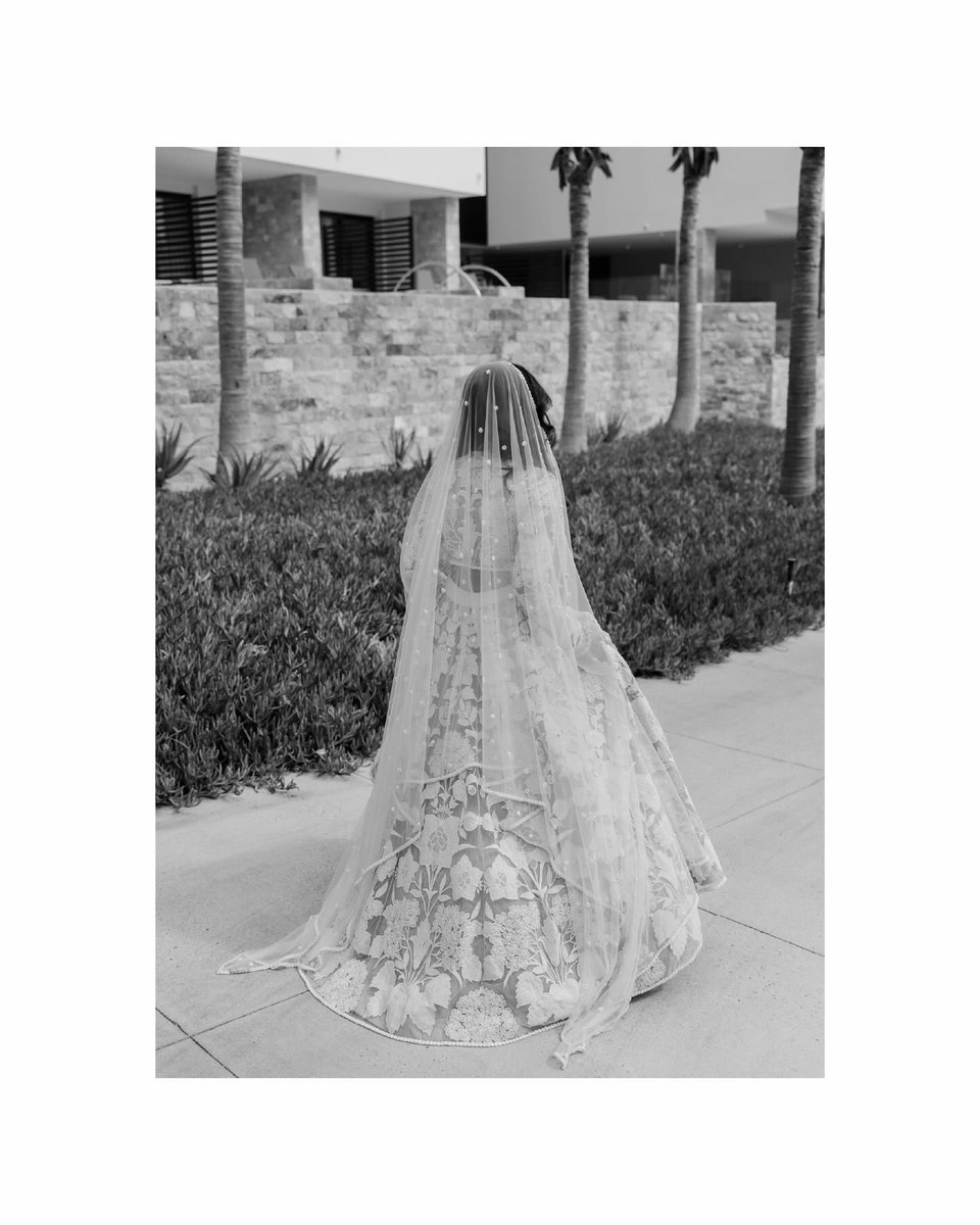bridesofsat58x's tweet photo. https://t.co/lPirAFc3Q3