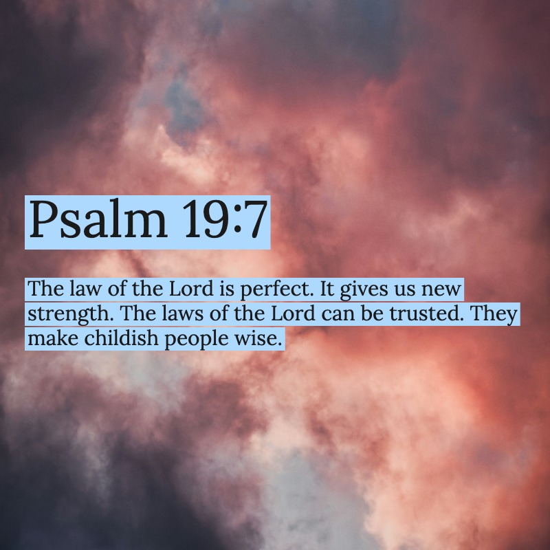 DivineProverbs's tweet photo. https://t.co/dI3H5jliVh