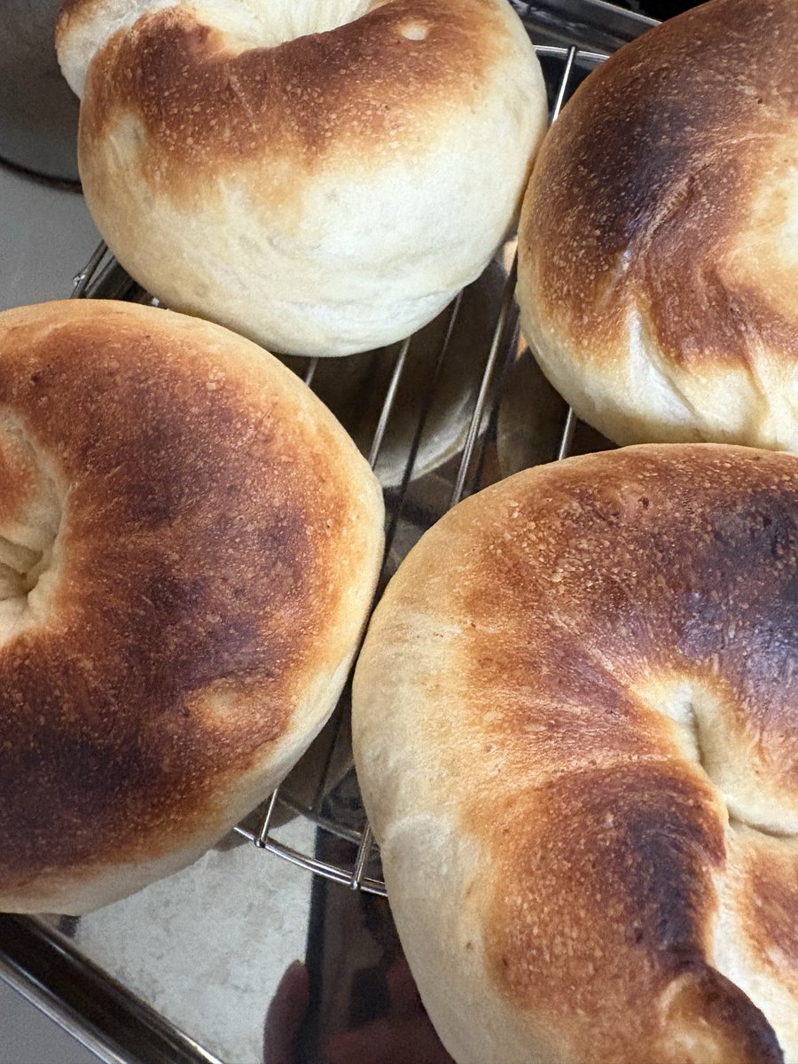 yuseyusa's tweet photo. 今週のベーグルっ🥯
ぽんぽこりんっ
今回はクリームチーズとオレンジピール入り https://t.co/naMIkpGlai