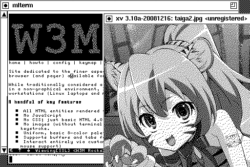 死ぬほど重たい…
68030/50MHzでメモリ128MBでこれだから
ノーマルのSE/30だとどうなってしまうんだ…
#NetBSD #mac68k #SE30 