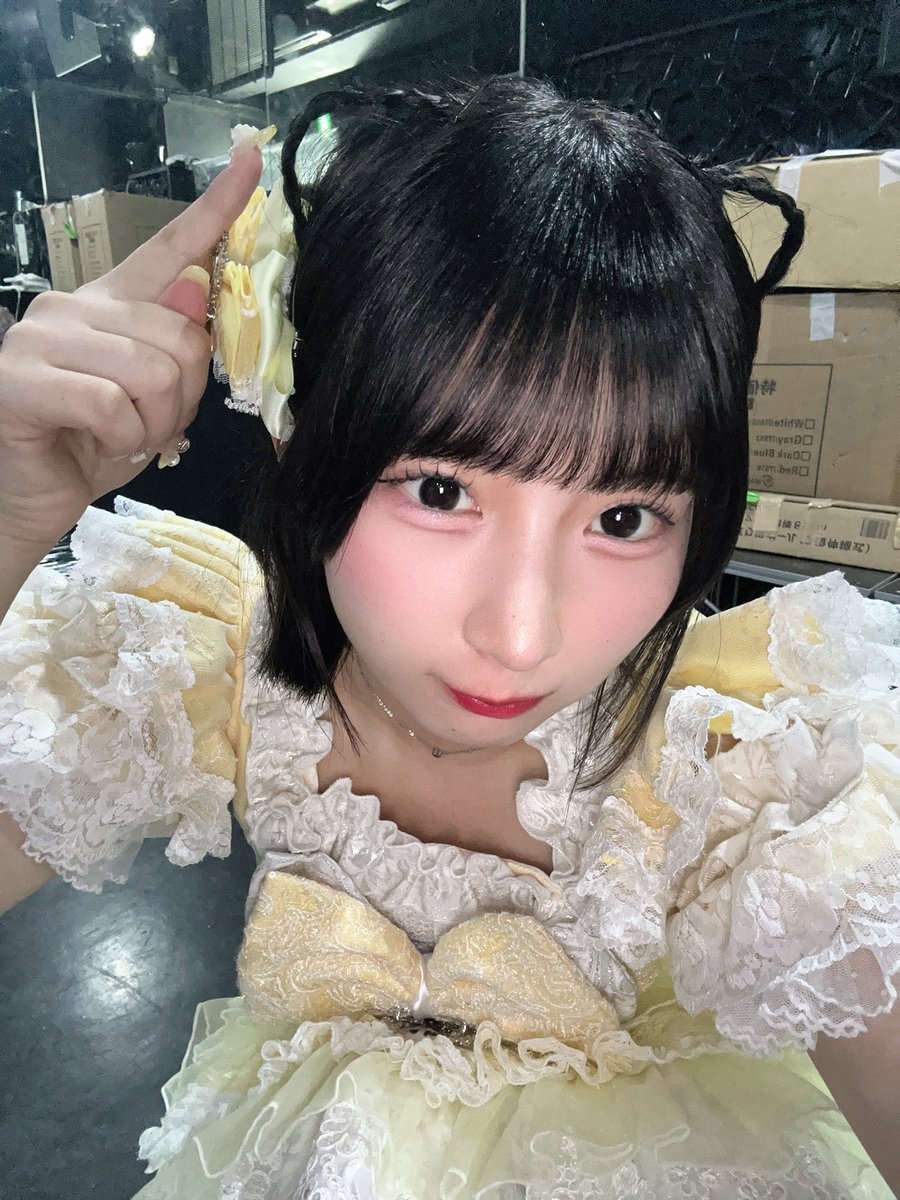 🐱ねこになった🐱