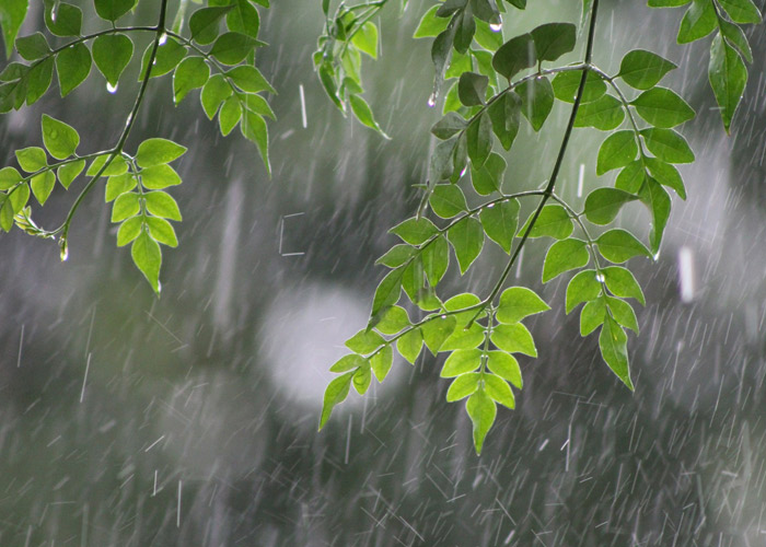 RingaRingaSoap's tweet photo. 急な雨や家族の八つ当たりなど、生活していると突然イヤなことに遭遇してしまいます。
そんなときの対処��を書いてみました。
「イヤなできごとに巻き込まれないコツ。」
https://t.co/8ksSuTnVOu https://t.co/PH0BgOm7tv