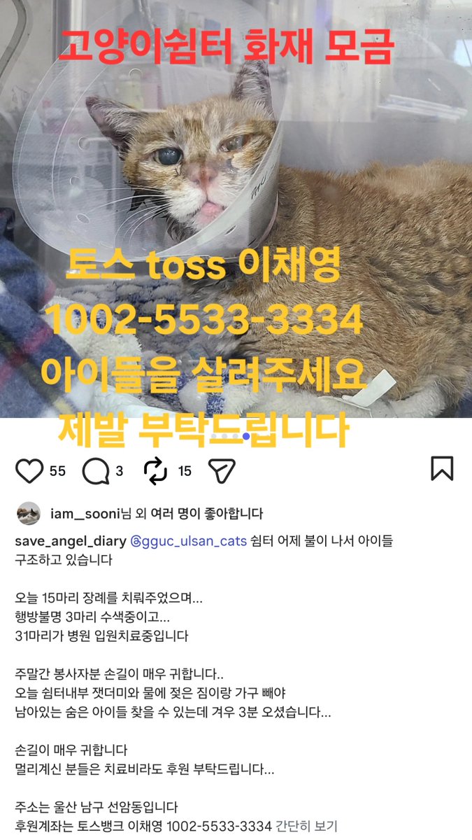citi_all's tweet photo. @kwangyawalking https://t.co/grOThoP38I