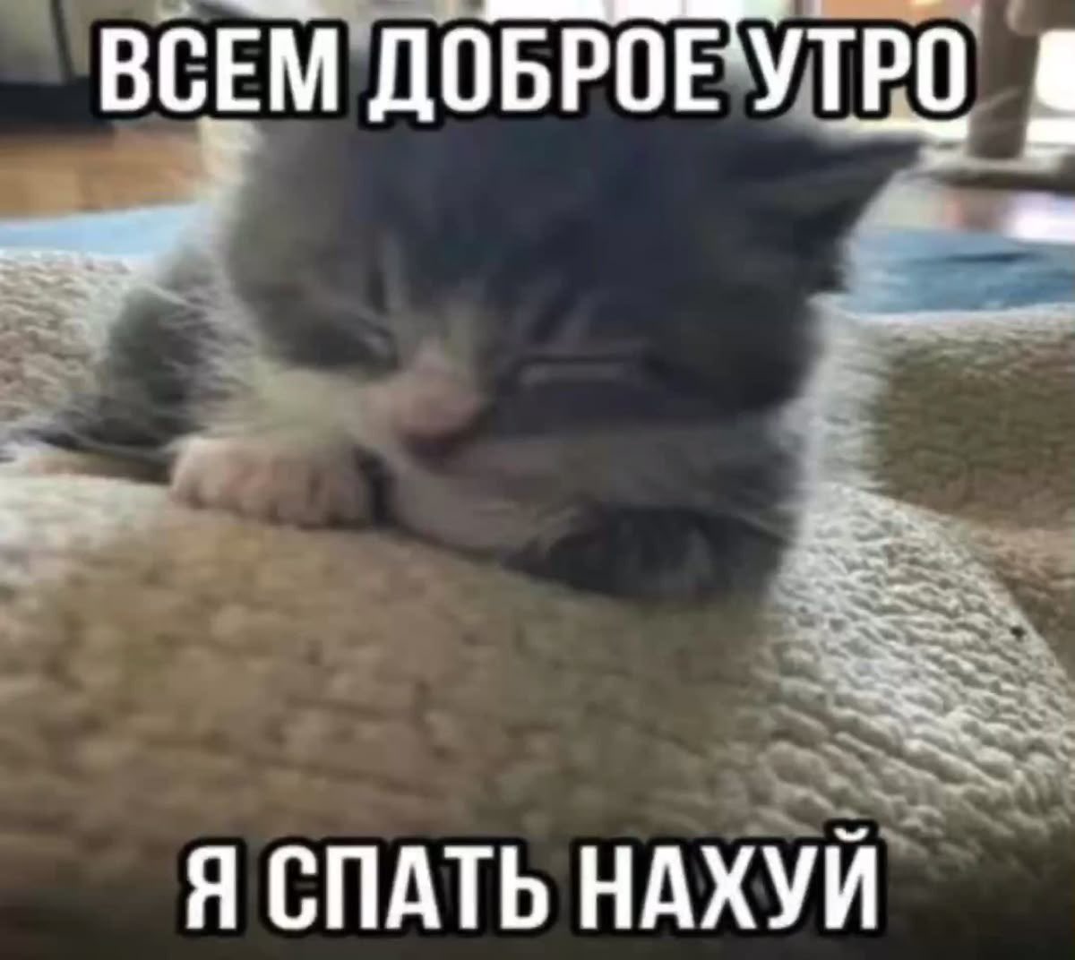 kaspierer's tweet photo. https://t.co/yInNtdvfRk