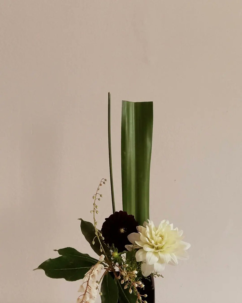 ikeflora_'s tweet photo. When I wake up on a Saturday morning the first thing I think is thank God it's the weekend. I put my slippers on and grab a pair of secateurs on my way out the door.… https://t.co/vDyDIXBERg