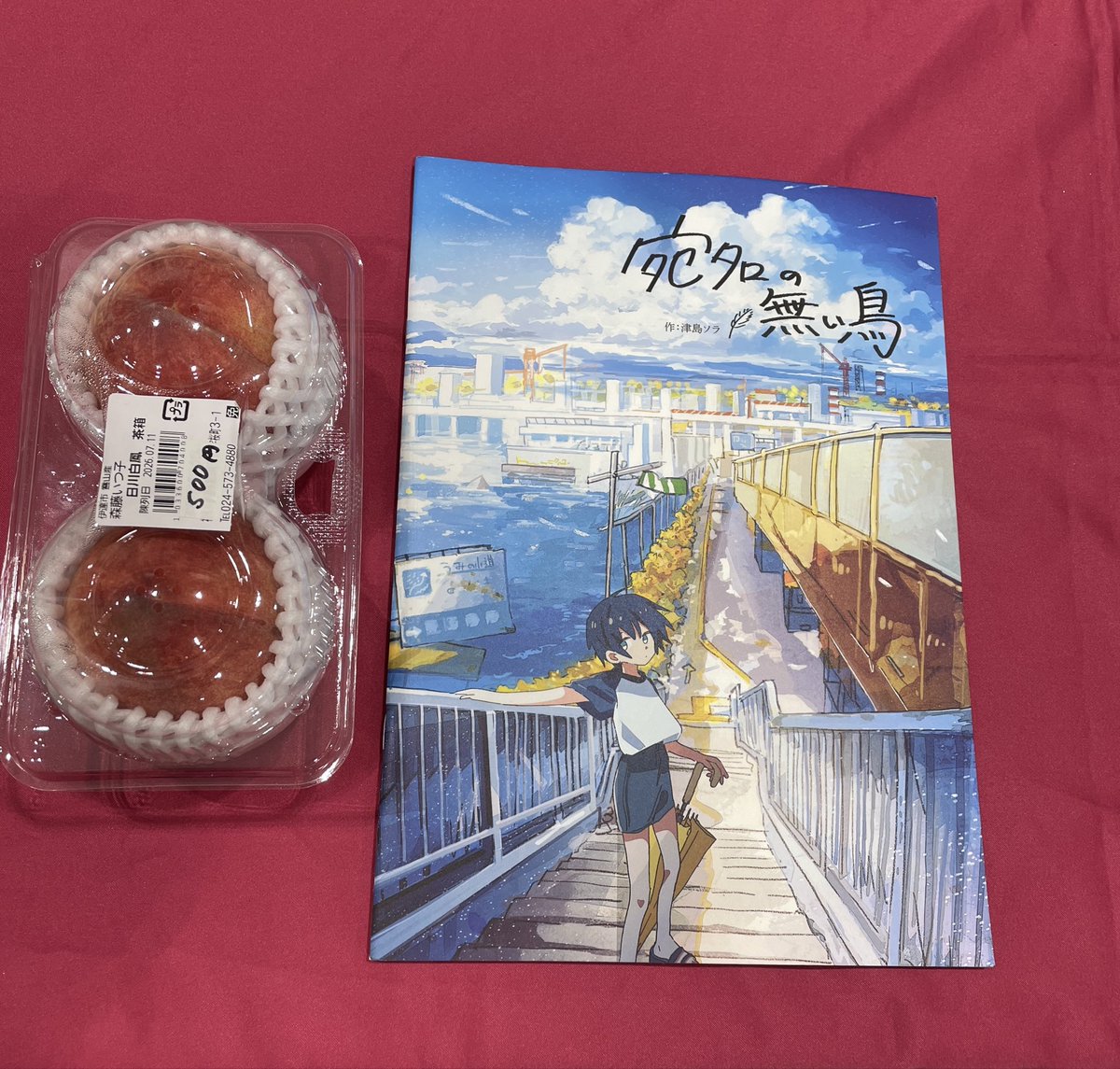 Post by 松田重工 みちのくコミティア仙台17 F12 on X: 本日の戦利品