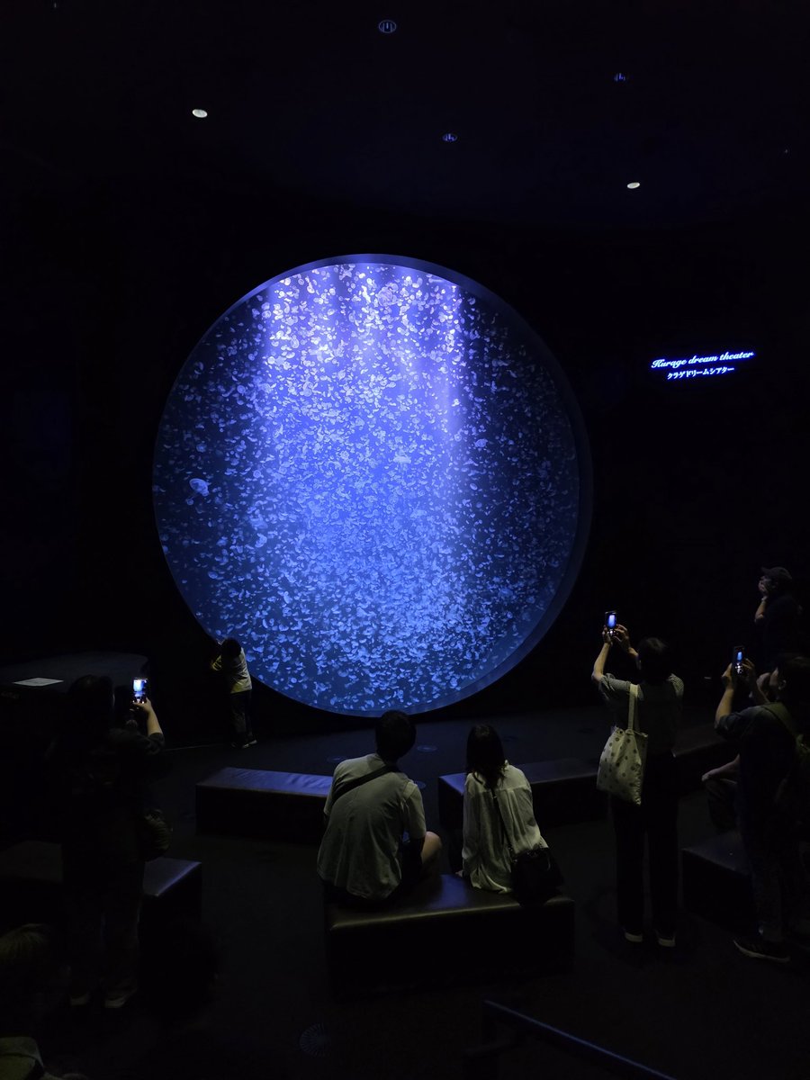 da_yoshi_travel's tweet photo. 巨大水槽のクラネタリウムは圧巻でした https://t.co/y7xnQzVqW1