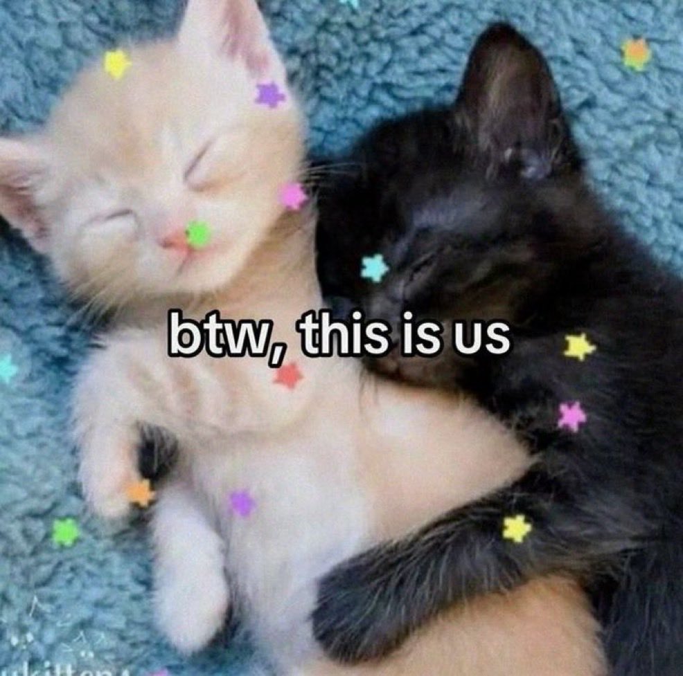 MyCuteCatPage's tweet photo. https://t.co/LiGupxtkvV