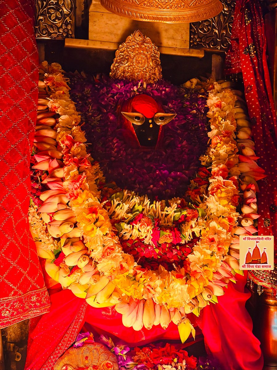 VindhyachalDha1's tweet photo. आज दिनांक 12/7/2026 (प्रदोष, मास शिवरात्रि) रविवार के दिन करिये माँ के मंगला आरती का दिव्य लाइव दर्शन
माई कृपा बिन भव सागर होहि न पारा
माया रूपी सकल संसारा🙏
जय माँ विंध्यवासिनी

सेवक अटल त्रिपाठी
Mob.6386046245 https://t.co/iLdNPx7dG8