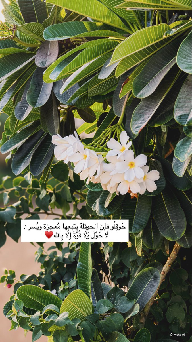 t__mohammed__'s tweet photo. https://t.co/faZNq1QAJ7