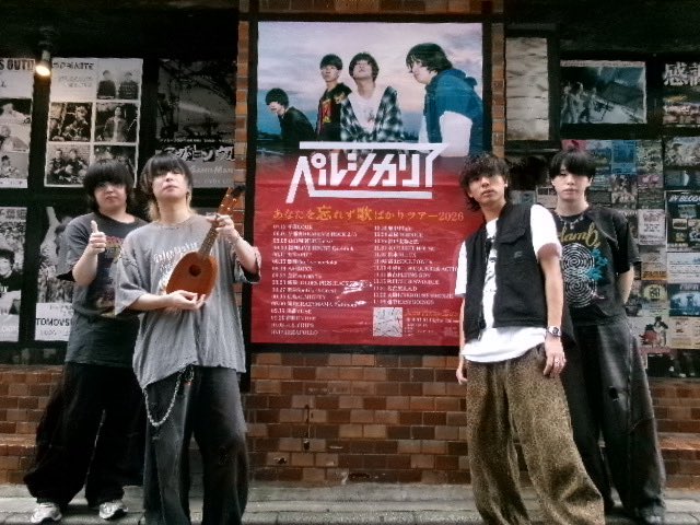 ペルシカリア (@persicaria_band) / Posts / X