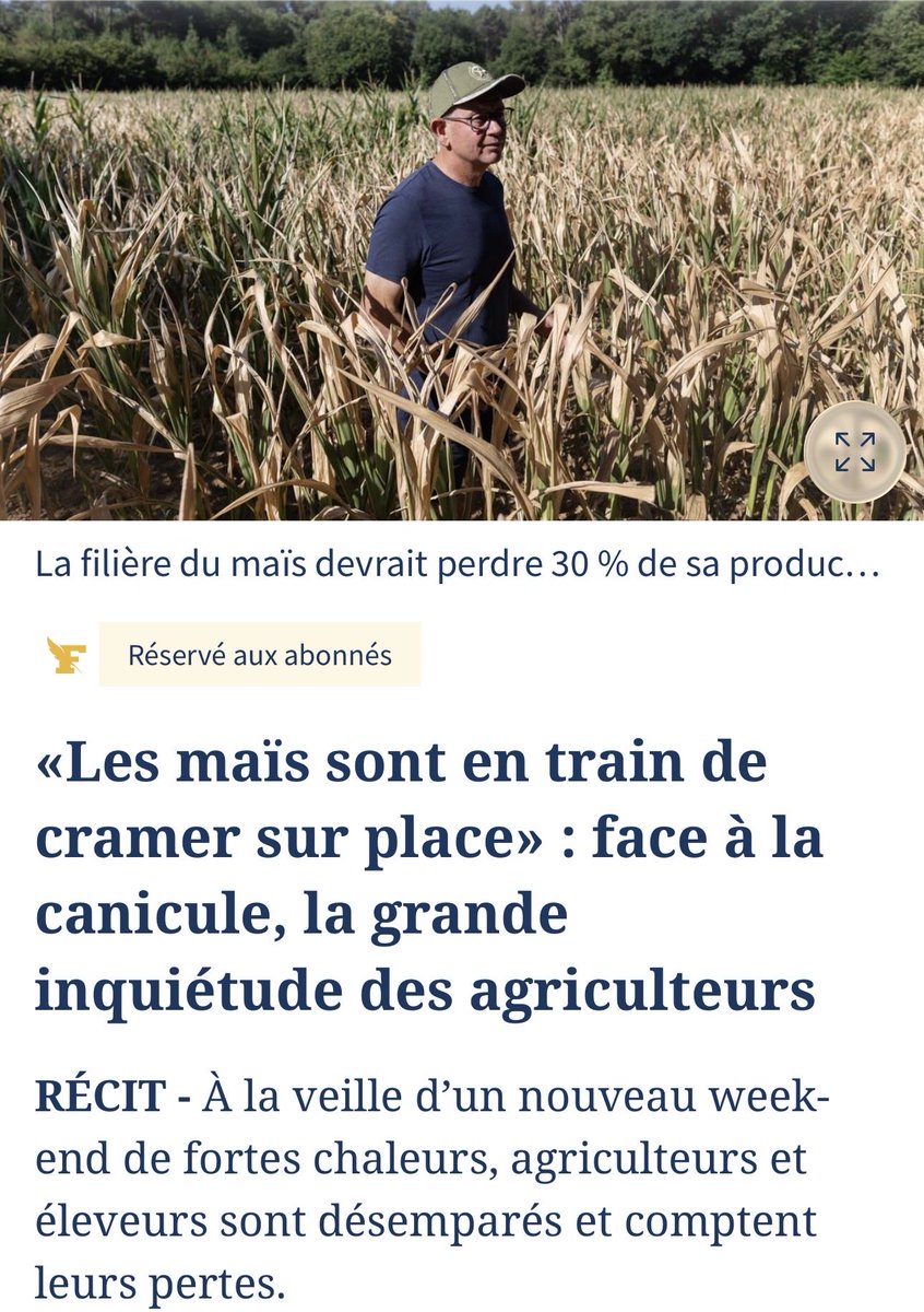 BegonThomas's tweet photo. RvP3️⃣articles du 12/07/26
✅#canicule, la grande inquiétude des #agriculteurs✔️https://t.co/7otpzrEVP5
✅Comment #Labeyrie se prépare à la fusion de ses principaux concurrents ✔️https://t.co/EY1Zot00Hz
✅#parmesan nouvel actif financier pour les investisseurs ?✔️ https://t.co/UOv7T2MNUg