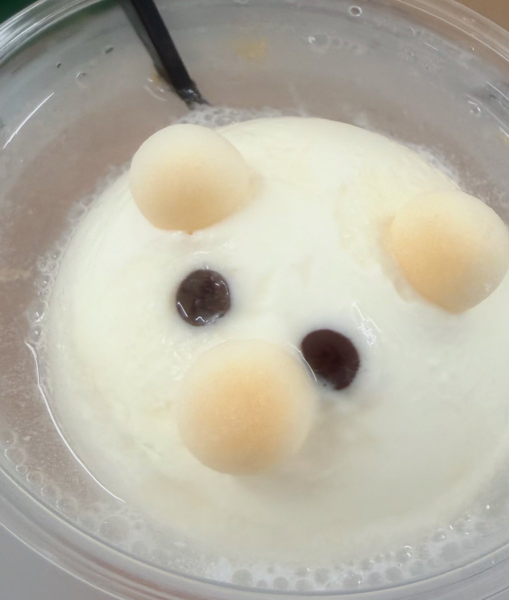 小熊まむ【iLiFE!】 (@iLiFE_koguma) / Posts / X