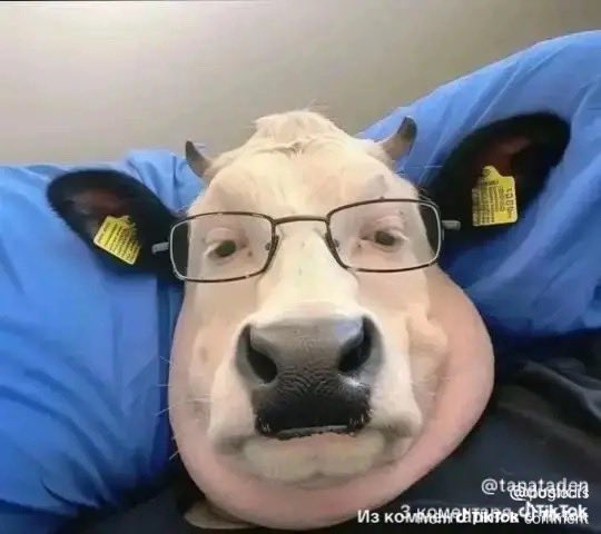Ian tweet media