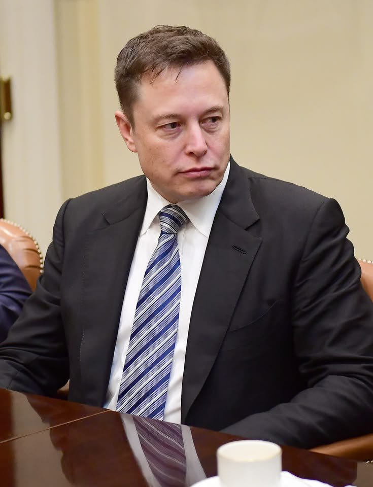 Elon by Bliss tweet media