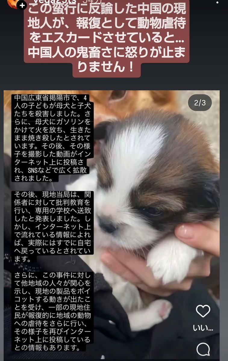JohnGaku's tweet photo. 中国福建省
中国人の子どもに母子ともに虐殺されました。母犬は生きながらガソリンかけられ、のたうち回る姿を動画で撮っていたようです。
世界中の人々から非難されると、現地の人間たちは報復としてますます動物虐待虐殺をエスカレート。
中国人はそんな人種なのでしょうか…。 https://t.co/W0sJeHkFJO