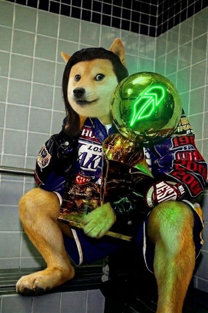 VladDog tweet media