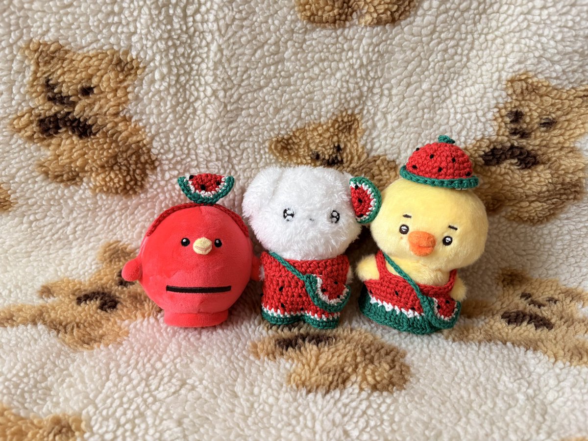 Wooo_1031's tweet photo. スイカ🍉のお洋服届きしまた🫶
3体のもチャッピーに
お願いしたけどタイムアウトで
作れなかった
かわいいお洋服ありがとうございます💓

@Petit_trico 様 https://t.co/OuiuyJsTS1