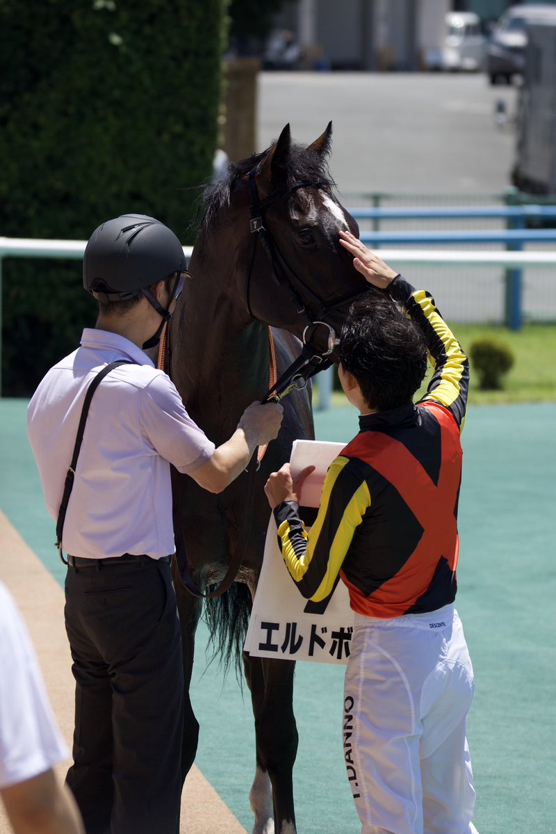 Riii_ScreenHero's tweet photo. デビュー戦で勝利おめでとう㊗️

#エルドボルグ https://t.co/pvXLdhR1rB