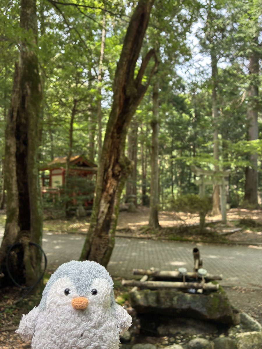 yuyama12's tweet photo. 発心門王子

ちいちゃい神社のある立派な休憩所
海外の方と飴ちゃんトレードした。 https://t.co/j0LuDnbQLW