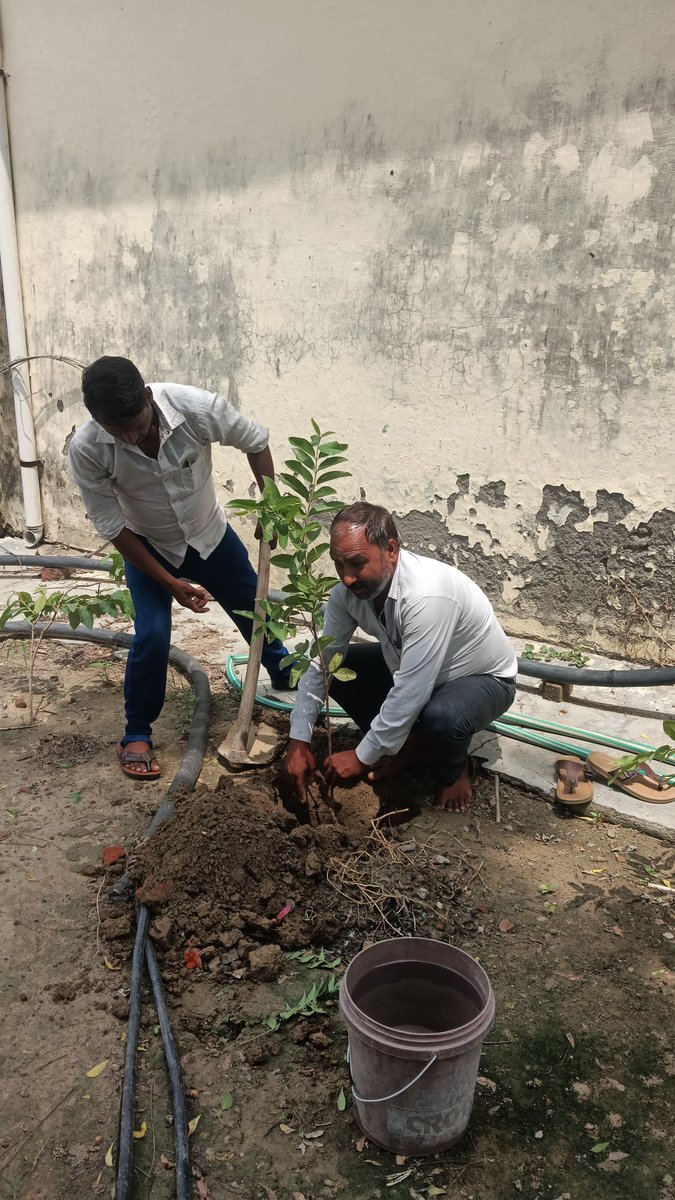 PUVVNLPRTAPGARH's tweet photo. दिनांक 12.07.2026 को जनपद प्रतापगढ़ के वि0वि0खण्ड-प्रतापगढ़ 33/11 के0वी0 विद्युत उपकेन्द्र अंतु के पावर हाउस पर अवर अभियन्ता एवं विद्युत स्टाफ सहित वृक्षारोपण का कार्य करते हुयें।
@PuVVNLHQ @UPPCLLKO https://t.co/h6XLeJDRmw