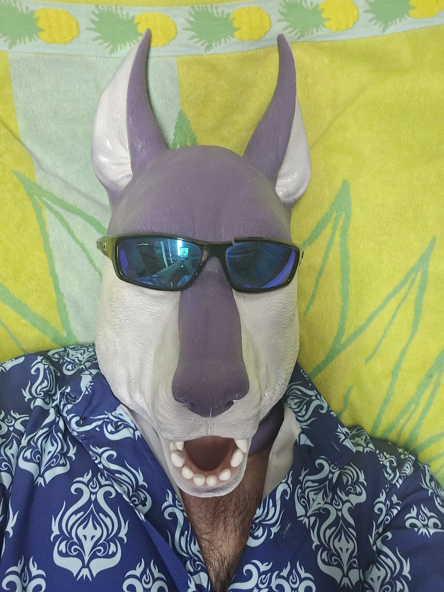 wolfwing_boy69's tweet photo. Having a staycation.
@Smitizen #MySmitizen https://t.co/1go2iy9rvO