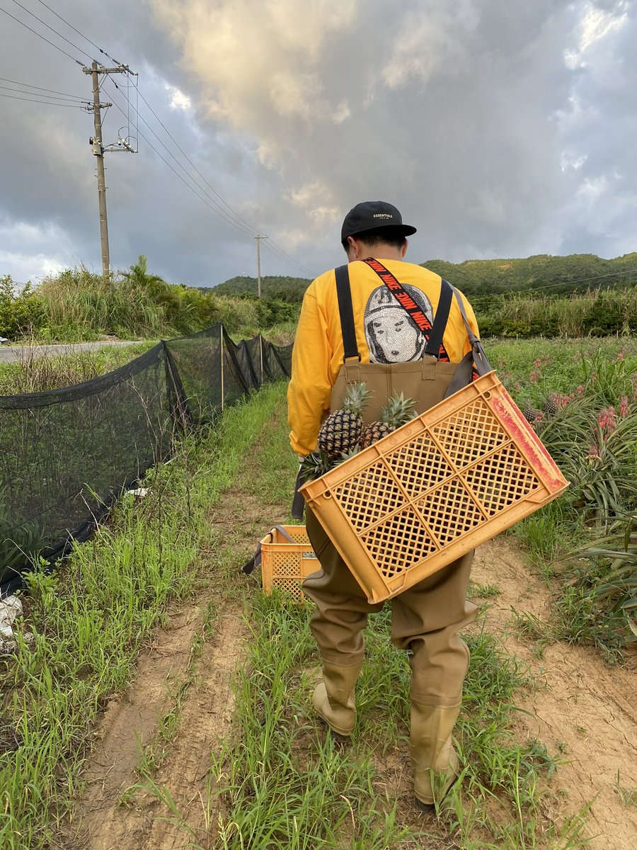 cryptodemon1993's tweet photo. ギザミからのガザミからのパインとボイン。
いしがっきーといりおもってーで少し遊んで帰ります😎 https://t.co/TAHtgs0Mfp