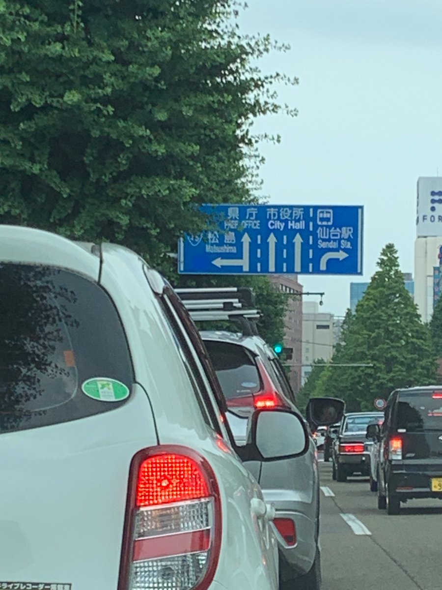 satomoomi's tweet photo. 金曜日中仕事して2時間仮眠
夜中2時に出発セリカで4号線北上仙台へ
お昼12時到着　国分町にご用があり17時現地離脱
夜中途中のコンビニでミヤマカミキリの大群に遭遇捕獲
3時帰宅　往復700キロ
ミヤマカミキリがかっこいい！
いくつかのケースに分けてセット https://t.co/nEM7Q6DPBG