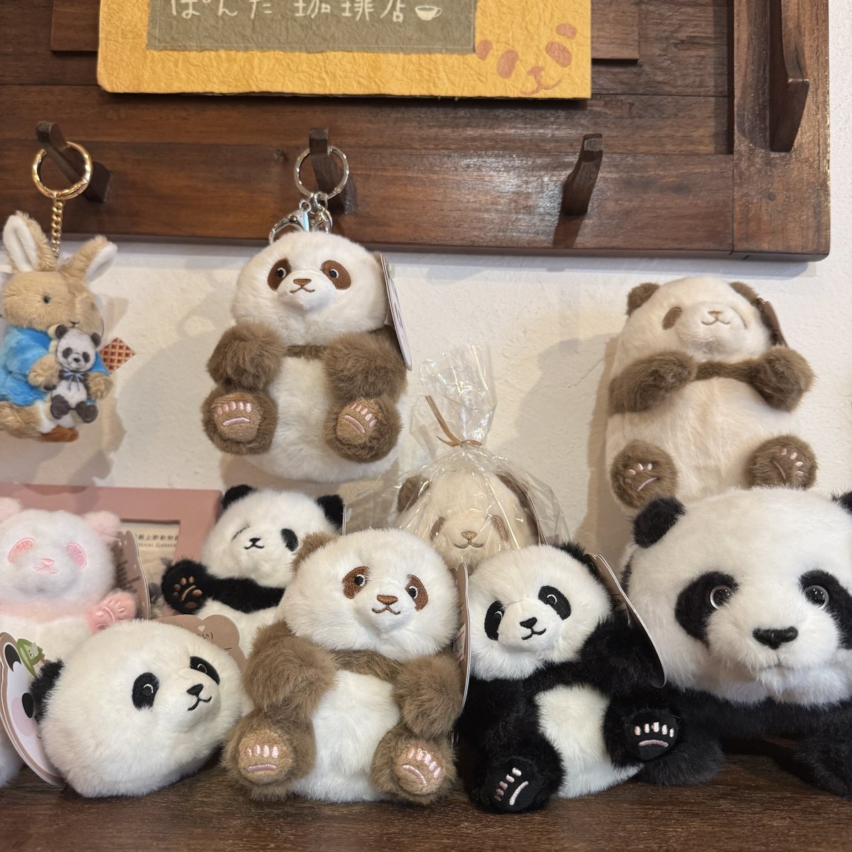 Stefanie 限定パンダピンセット ピンクとブルーぷくパンダとピーターラビット&パンダマスコットは現在