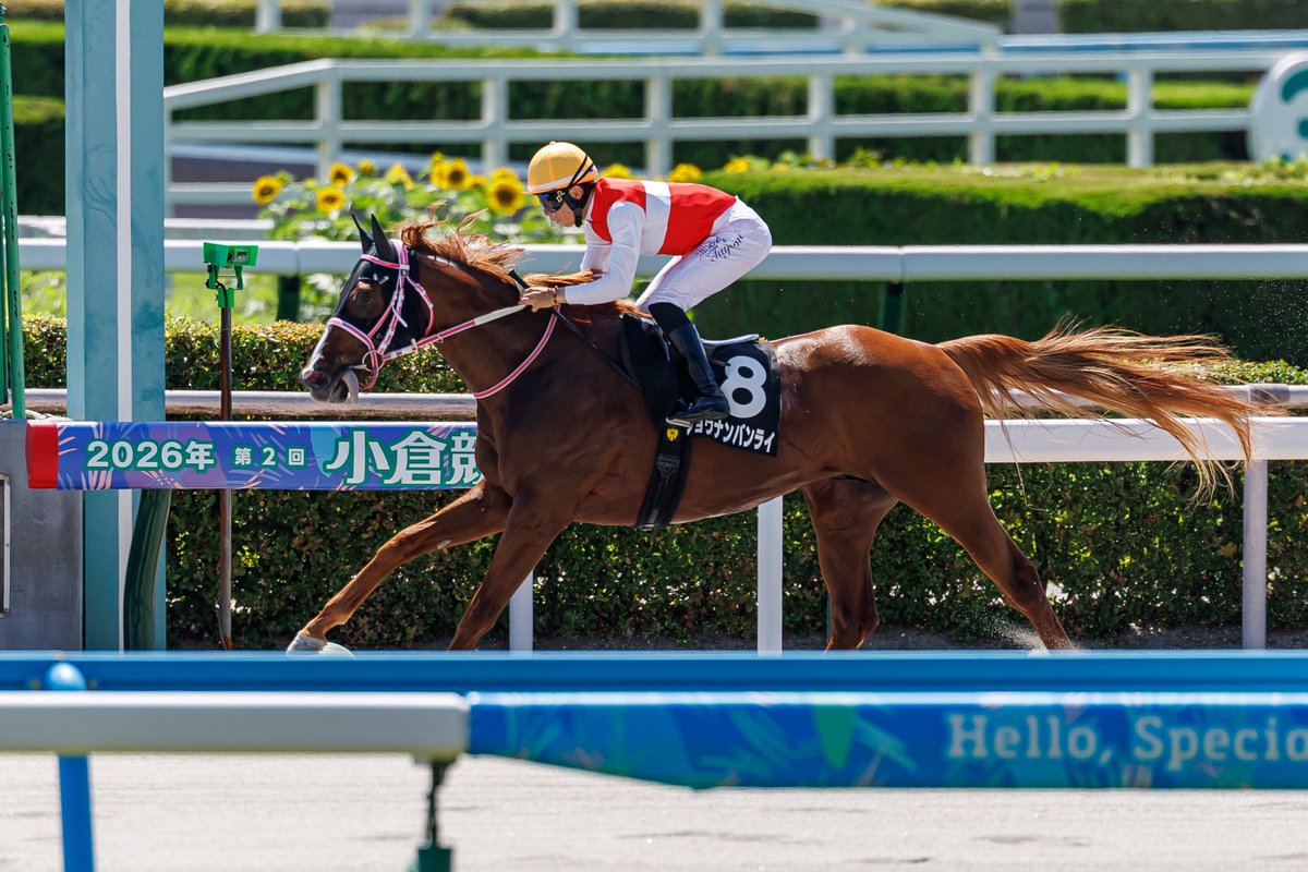 NavierStoke0718's tweet photo. 🥇ショウナンバンライ x 田山旺佑🏆️
#八女特別
#小倉競馬場 2026.7.12 https://t.co/qnwo2RoJbH