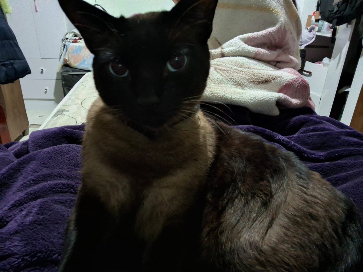 smbduthere's tweet photo. quem é o bebe de mamae https://t.co/kvbYTi37QZ