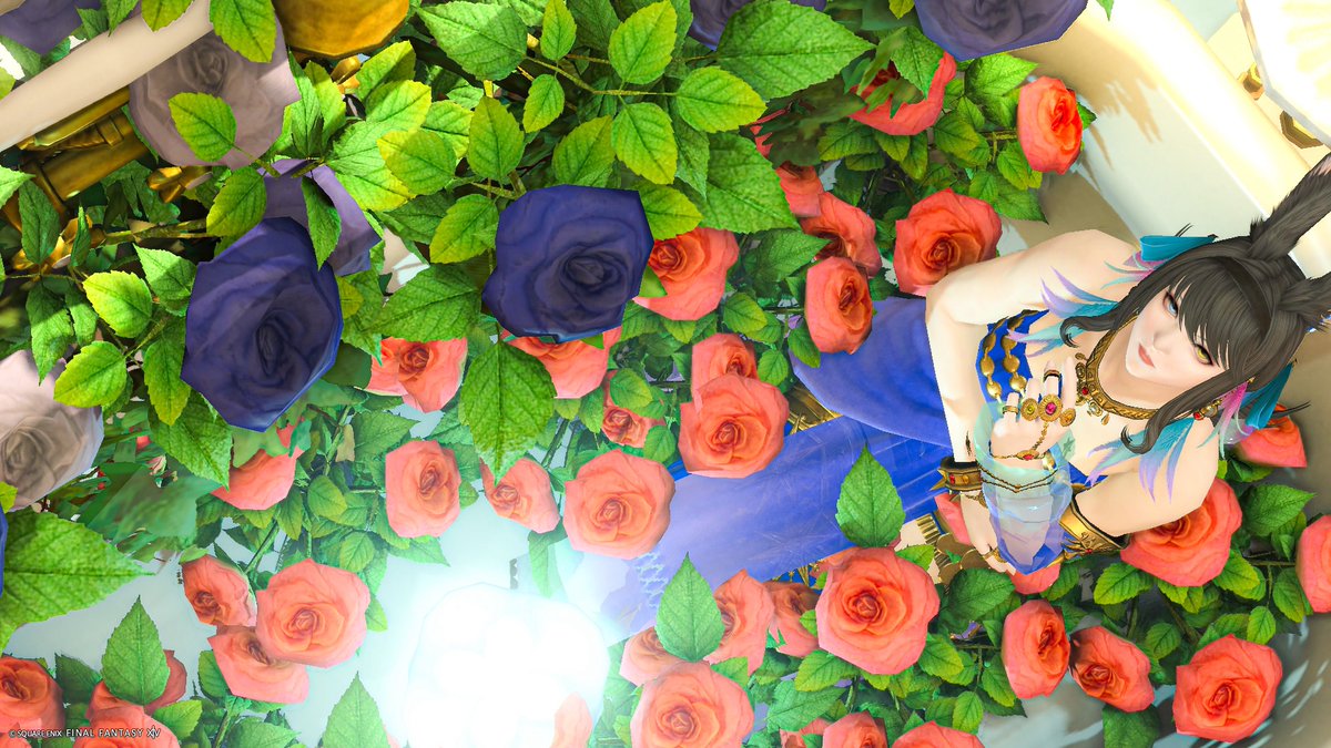 MeshiochanM's tweet photo. めしおの個人宅には薔薇風呂があります🌹🛁

#ff14 #ヴィエラ https://t.co/Pnf5FWS8kj