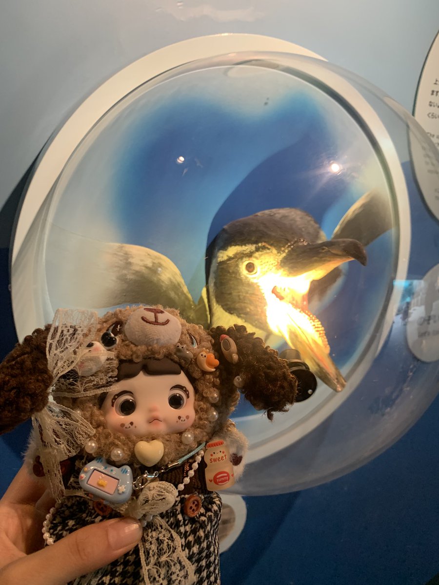 superhayashi's tweet photo. ずっと間違えて告知してましたが明日のオーディション1stは17:30〜です！
　
置きチケまだいけますので何かしらでご連絡を🙇🏻

7/13 (月)オーディション1st
17:30開演、18:30終演

前売 ¥800

会場：Yogibo META VALLEY
 〒556-0011 大阪府大阪市浪速区難波中２丁目１１−１
https://t.co/dZM8p7B9lf https://t.co/LechOvGsrY