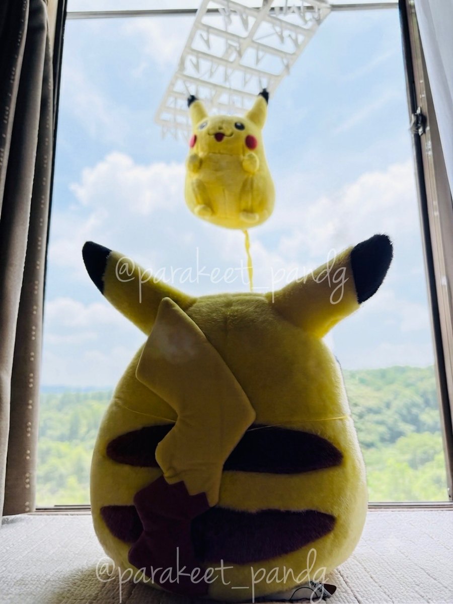 初代ピカチュウを見つめる現代ピカチュウ