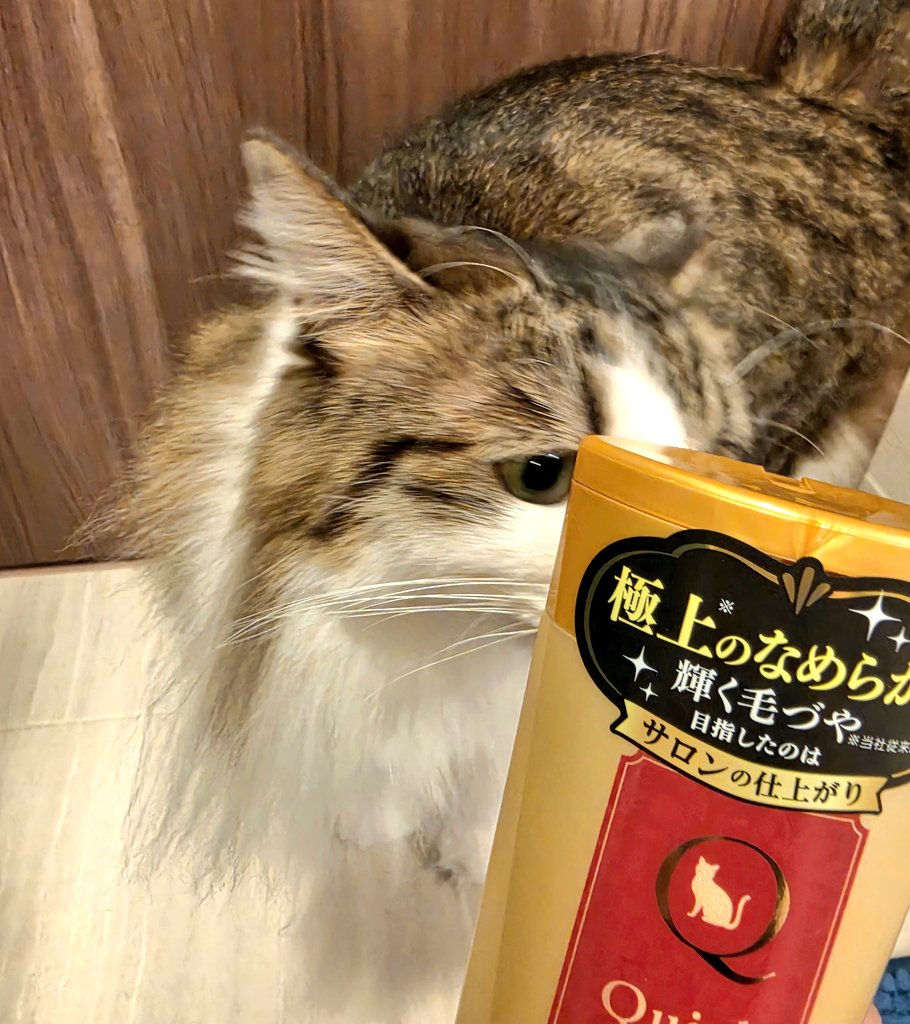 taramanma's tweet photo. 急に思い立ってとろ洗いました！
長毛？ちゃんだから定期的にシャンプー必要なのかな？
あおあお騒いだけど噛んだり引っ掻いたりは全くしないいい子🥹
サラツヤの仕上がりになりましたー https://t.co/K2OR96VNfL