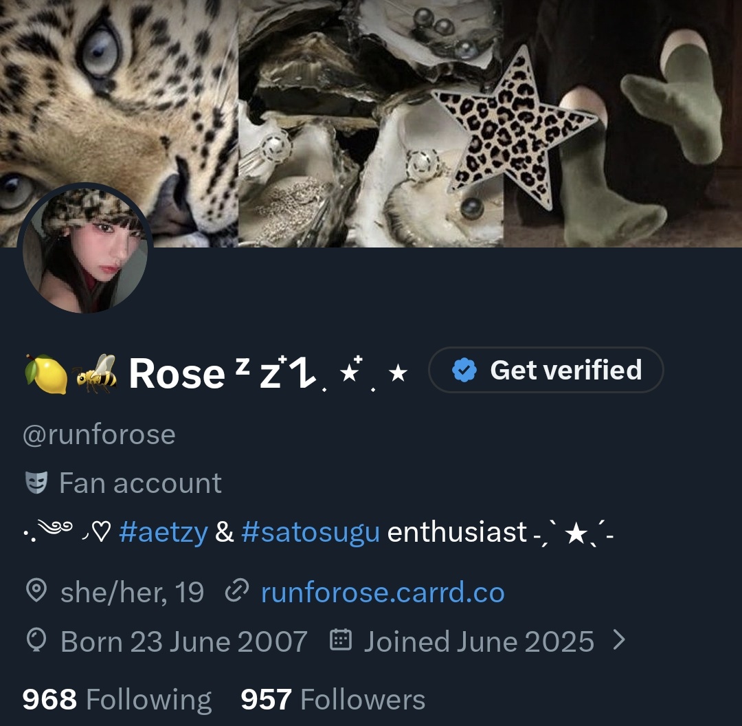 🍋🐝 Rose ᶻ 𝗓 𐰁๋ ࣭ ⭑๋ ࣭ ⭑ tweet media