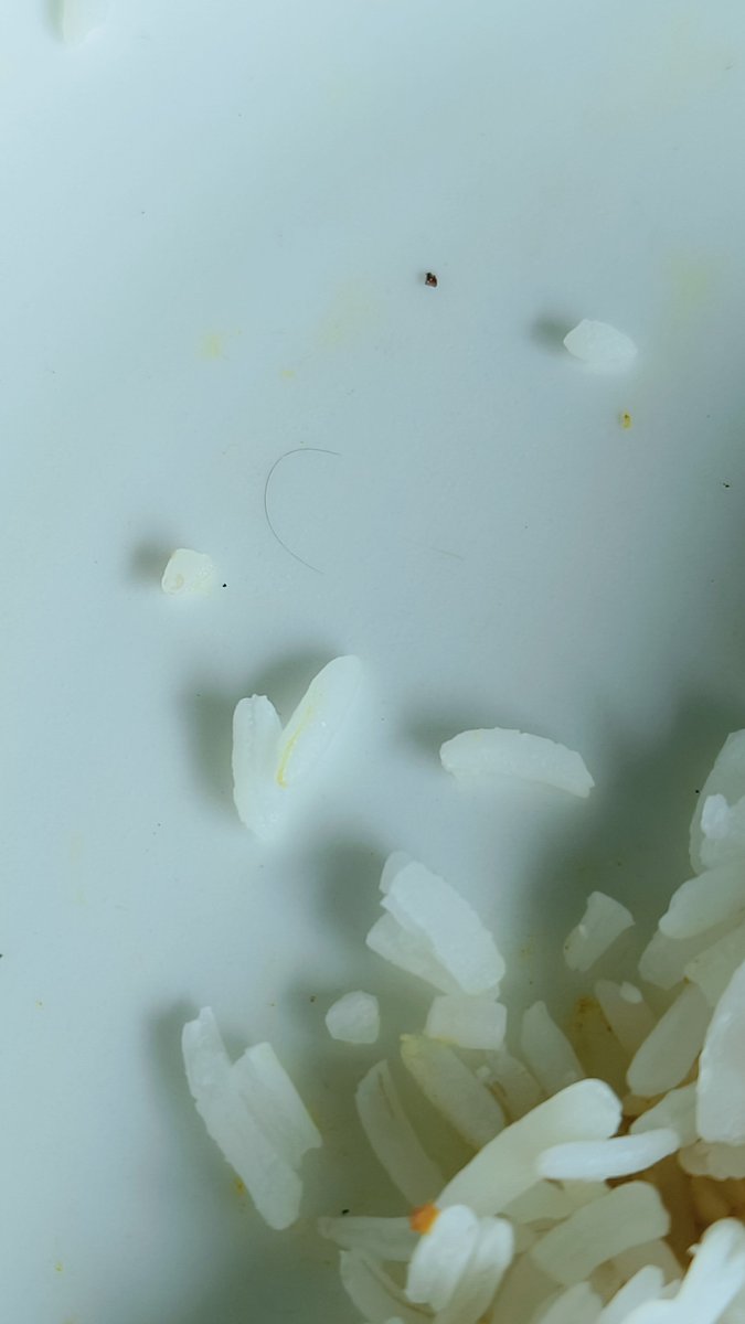 KitchenSushma's tweet photo. Currently travelling on Dibrugarh–Delhi Rajdhani AC 1. Found hair in food served during both lunch and dinner. Very disappointing and unacceptable standards for a premium train  premium fare, but poor food hygiene. Photos attached. @RailMinIndia   @IRCTCofficial 
#RajdhaniExpress https://t.co/GmSz4xYlf6