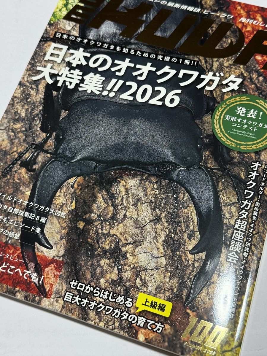 HirokA_world's tweet photo. 我が家にも記念すべきビークワ100号が届いた〜
表紙からして豪華✨

私の連載も早10年❗️
私のコーナーを楽しみにしてくれてる皆さんに報いるためにも飼育で成果を出さなきゃですね。

まずは最高のマット製作から…😊 https://t.co/7OEzncGXrN