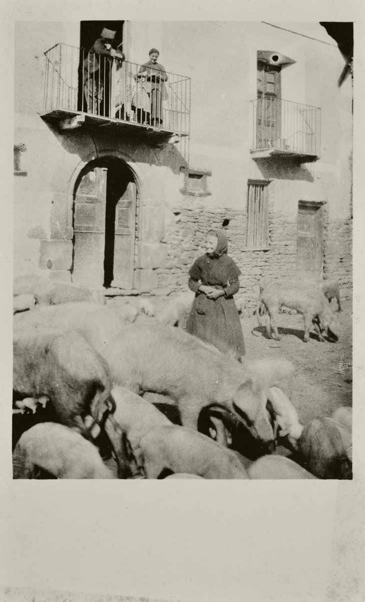 palmirajaquetti's tweet photo. Dilluns, 12 juliol 1926
 la Maria Pujol i dues dones més. La Maria és petitona, molt arrugada de cara, viva, però molla d’ulls. Les mosques tenen predilecció per aqueixa part delicada de la seva persona, i ella, quan en té moltes, les aparta amb un gest reposat. Però canta bé. https://t.co/sgPpn8MDsN
