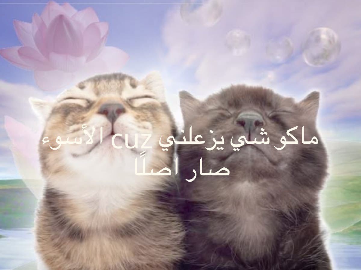 أبو الثعالب tweet media
