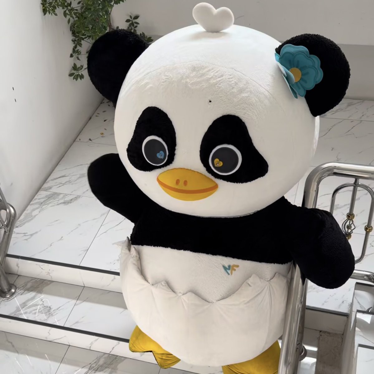 nflovereiei's tweet photo. รูปนี้ไออ่วมน่ารักค่ด กลมๆขาวๆ เหมือนมังคุดคัด 🥺🥺🥺🥺🥺🥺🥺💛🩵 https://t.co/M40eGCmEQI