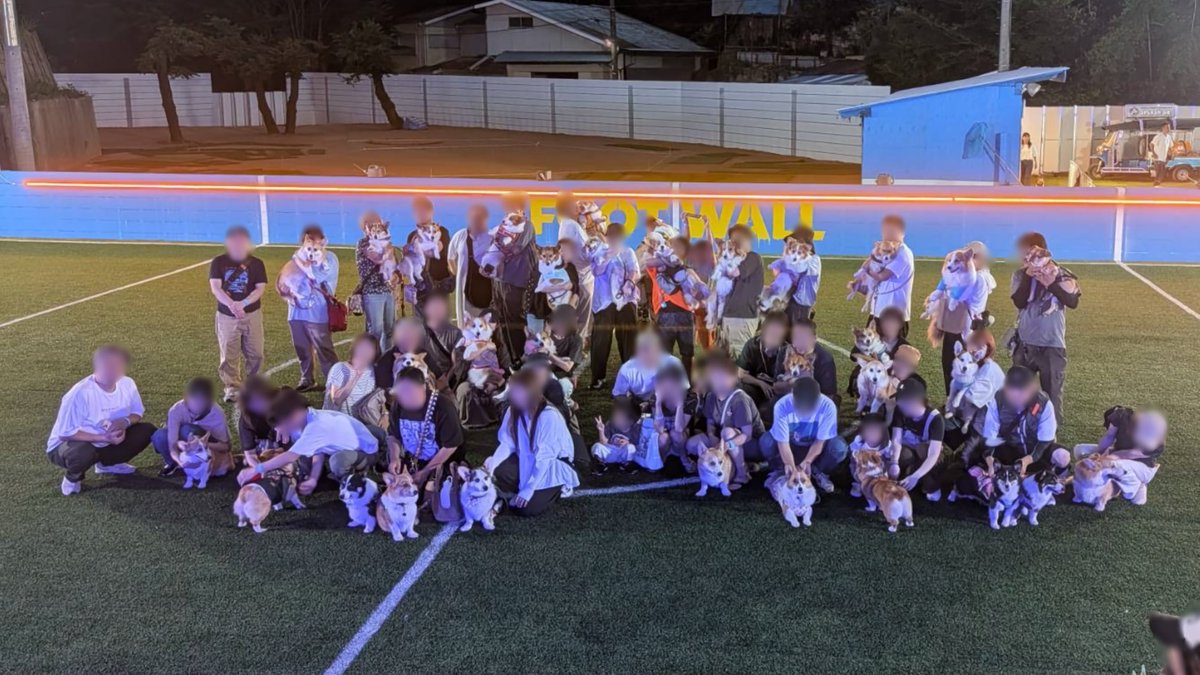 qoo_and_qi's tweet photo. 昨日はチロペロのコーギー交流会
たくさんのコーギー達と主さんにお会いできました😁
ありがとうございます🙇

※マージンもらったりしていません笑 https://t.co/xxenHnyc7D