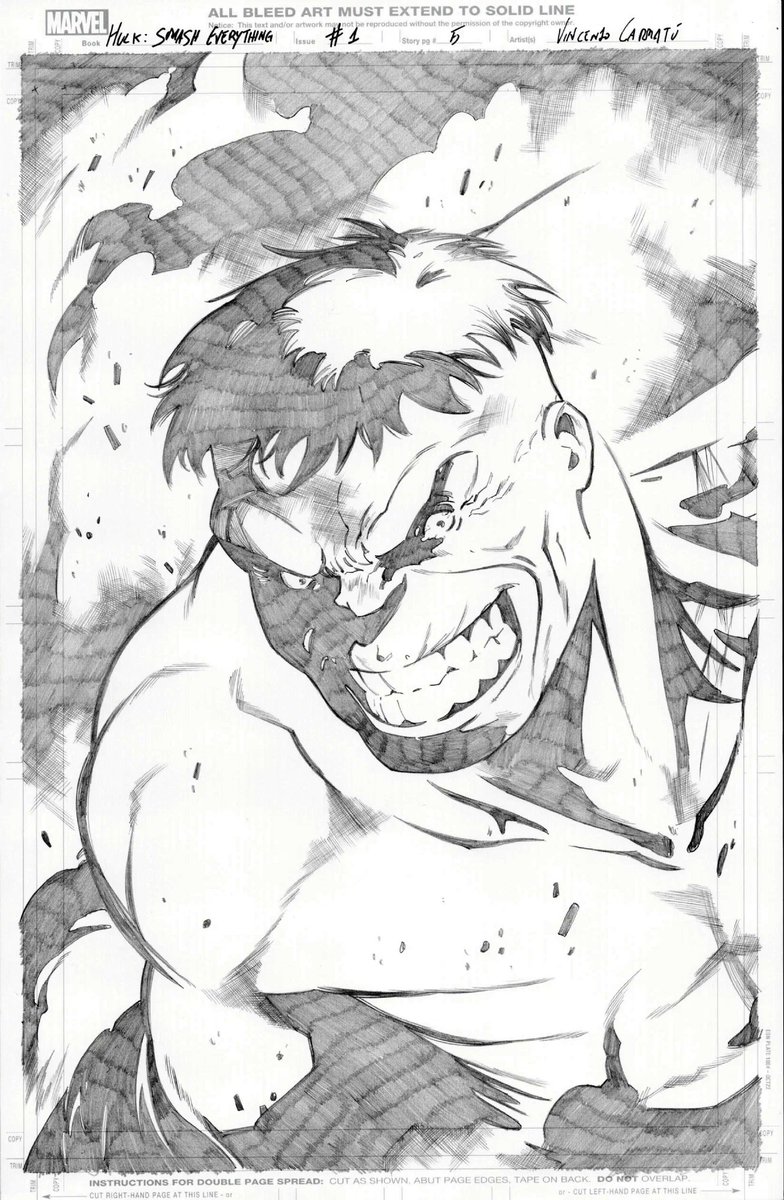 ComicCrusaders's tweet photo. Hulk by Vincenzo Carratu #comics #comicart #art #comicbookart https://t.co/dtT845syFM