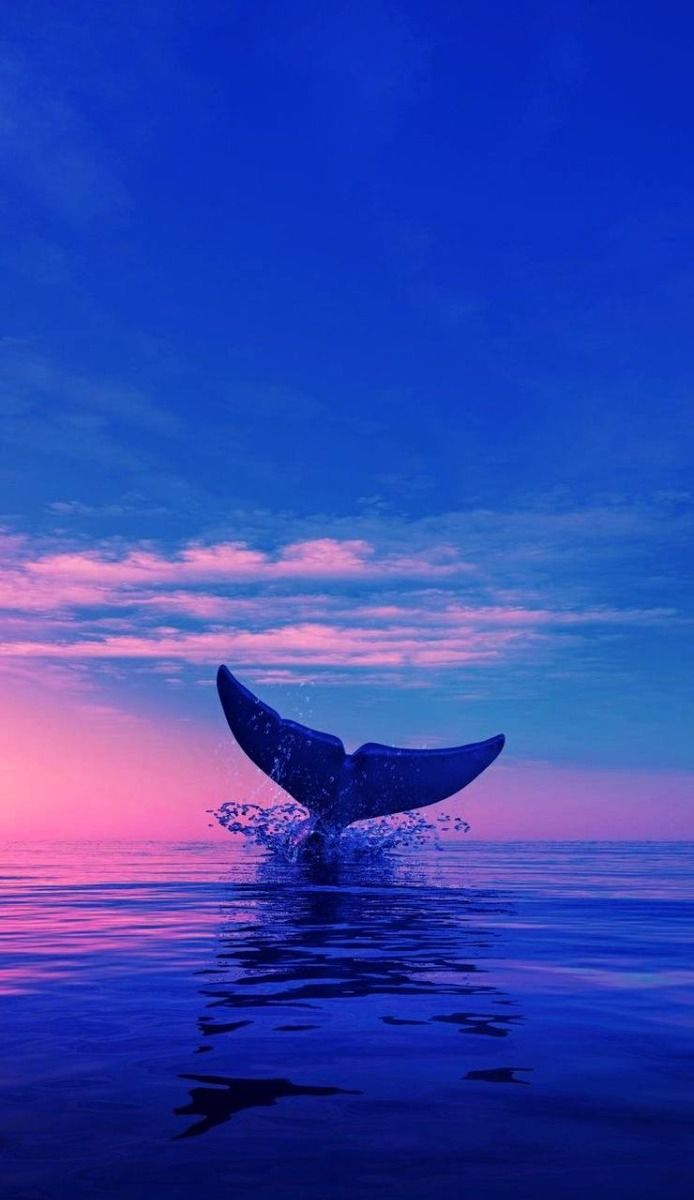 naturebeautyh's tweet photo. Nature https://t.co/nRYpo4ZyIP