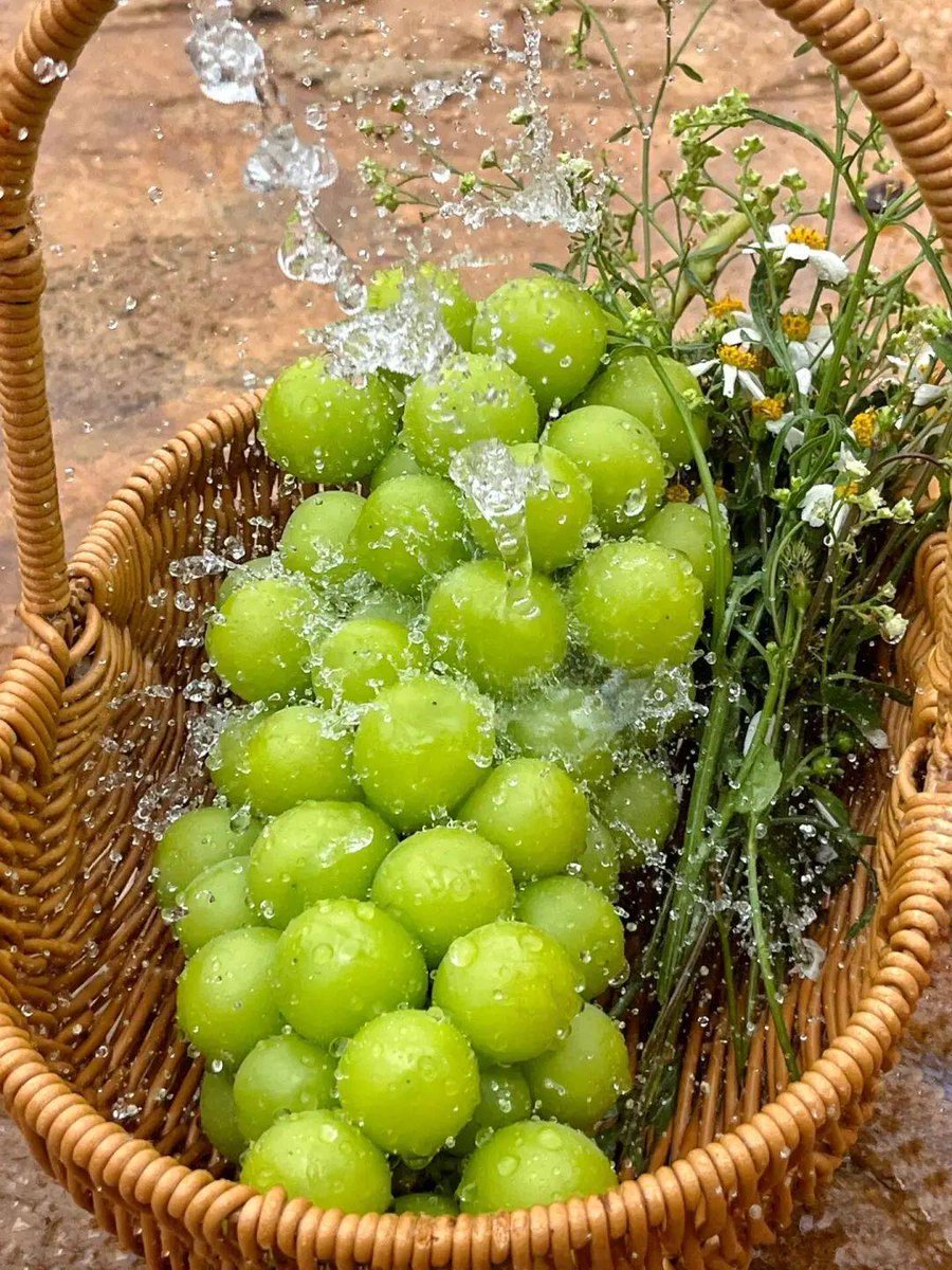 hunyy76446374's tweet photo. This juicy, sun-ripened cherry tomato burst with natural sweetness—no extra sugar needed! Perfect for salads or a quick snack. A must-add for your summer grocery list. https://t.co/eRlP5dEl48