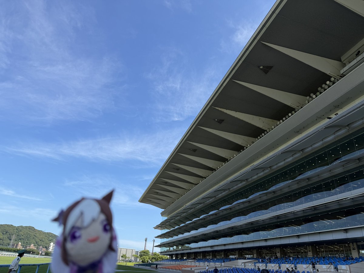 imo_tami's tweet photo. 小倉競馬場へ来ました！

モノレールに乗って競馬場へ行けるのは面白いですねぇ

せっかくなので場内で豚骨ラーメンをいただきました！

そして小倉名物の「揚子江の豚まん」も！
これがめちゃくちゃ美味しいですこの豚まん！

場内には日本庭園もあり素敵な競馬場でした

⸜(˶ˆ꒳ˆ˵)⸝ 🐎 https://t.co/tYweGpCUpf