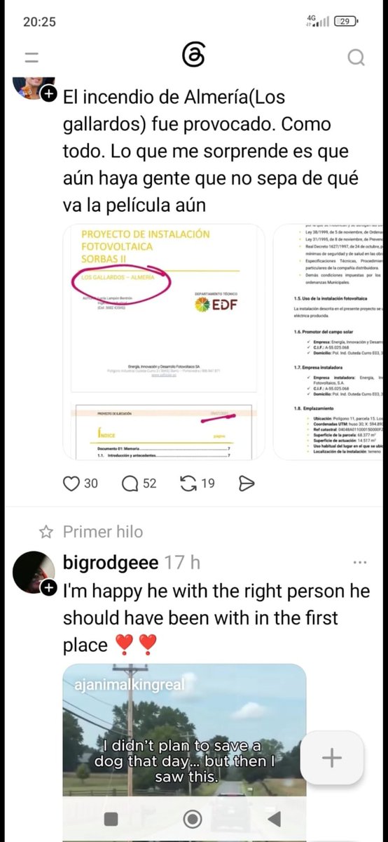 Maria16096896's tweet photo. @Capitana_espana Más que a los parados sacar a los ilegales de los hoteles y el aire acondicionado y que se ganen la paguita y la pensión completa. A limpiar el monte y a apagar el fuego que los que han vendido los terrenos a las fotovoltaicas han provocado. https://t.co/jSStjVy7xB
