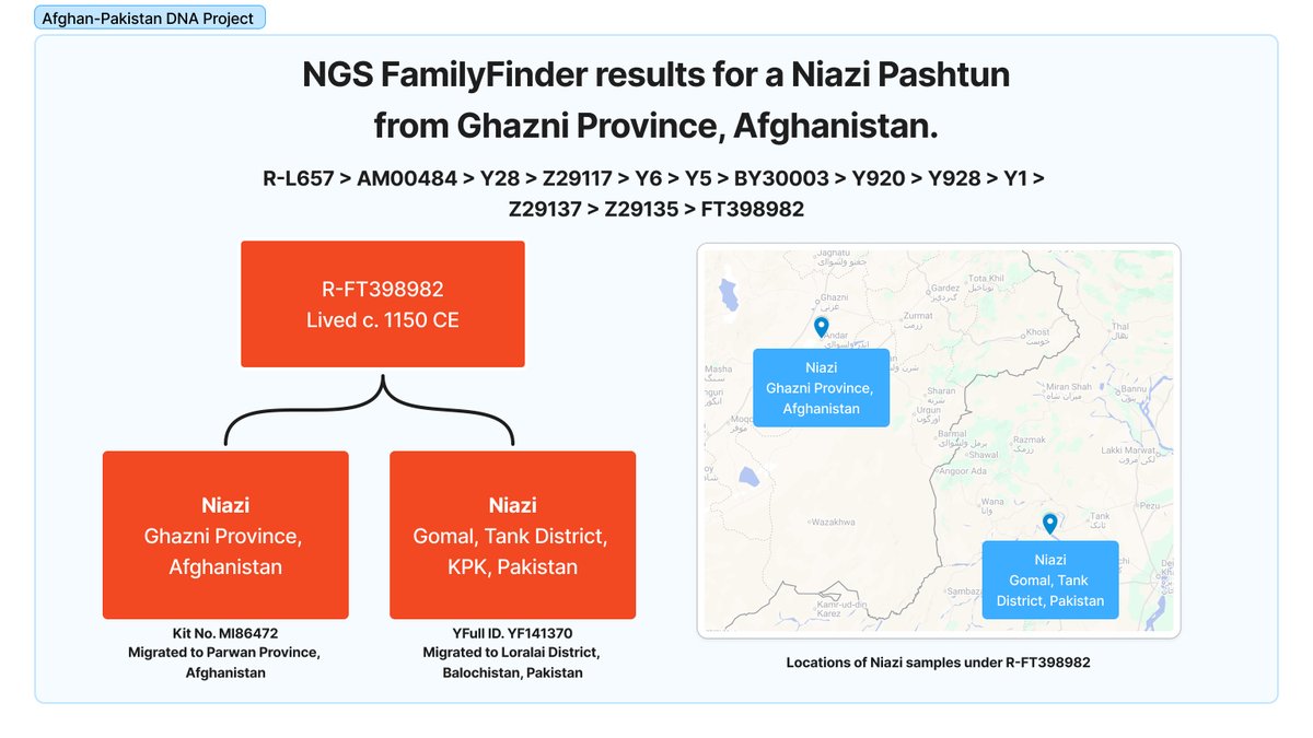 Afghan_DNA's tweet photo. We have received NGS Family Finder results for a R-Y6 (Z29135 > FT398982) Niazi Pashtun from Ghazni Province, Afghanistan. 

At a TMRCA of ~1150 CE, this Ghazni Niazi shares his branch with another Niazi tribesman from the Gomal region of Tank District, KPK, Pakistan.

The earliest Niazi tribal memory places the tribe on the outskirts of the city of Ghazni, from where they expanded during the medieval Pashtun tribal expansion into regions such as Bannu, Thal, and Gomal.

R-L657 > AM00484 > Y28 > Z29117 > Y6 > Y5 > BY30003 > Y920 > Y928 > Y1 > Z29137 > Z29135 > FT398982

FTDNA. https://t.co/CoflEsLfdE

YFull. https://t.co/Ub1vcxTEm6