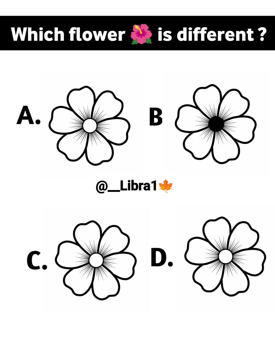 𝚂𝚞𝚏𝚒𝚊 𝚂𝚑𝚊𝚑🍁 tweet media